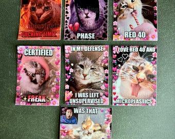 Cat Meme Stickers Version 3! FREE SHIPPING!