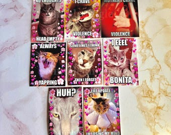 Cat Meme Stickers Version 2! FREE SHIPPING!