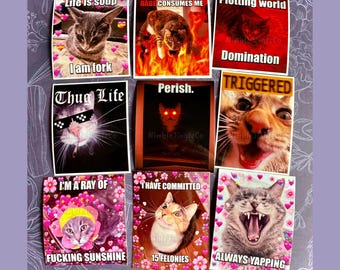 Cat Meme Stickers (FREE SHIPPING!)