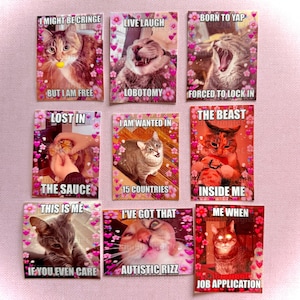 Cat Meme Sticker Series 5! FREE SHIPPING!