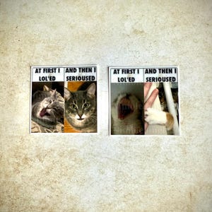 First I Lol’ed, Then I Serioused | Cat Meme Stickers (FREE SHIPPING!)