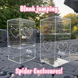 Magnetic Blank Jumping Spider Enclosure! 4x4x8 Acrylic Enclosure | READ DESCRIPTION |