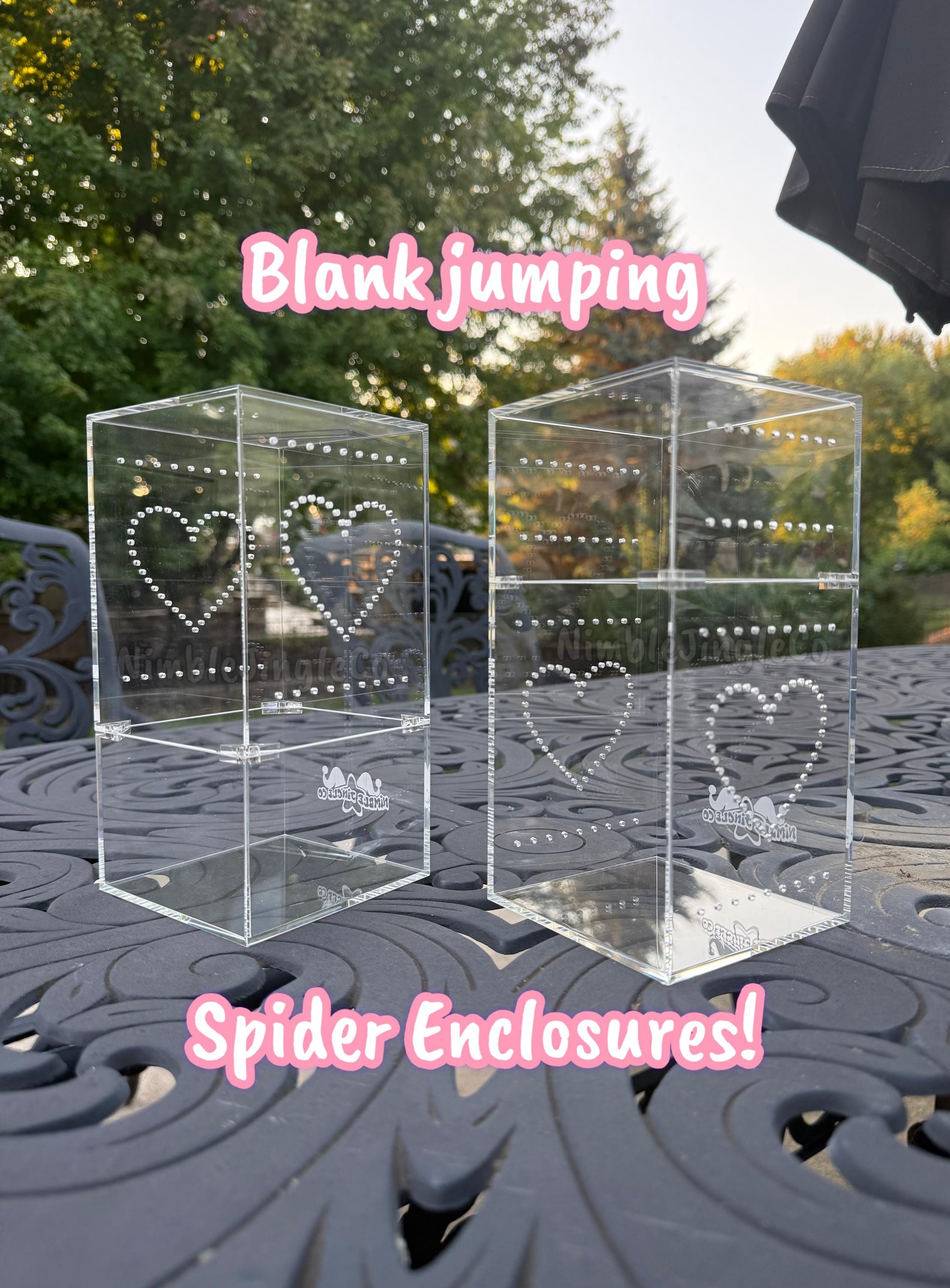 Magnetic Blank Jumping Spider Enclosure! 4x4x8 Acrylic Enclosure READ DESCRIPTION