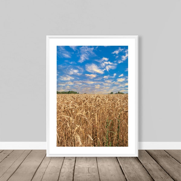 Harvest Print - Printable Digital Download, Nature Photography, A4 A3 A2, 30x45cm