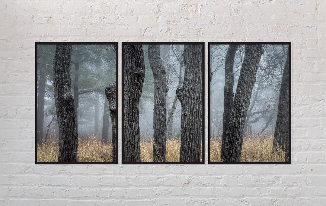 Forest Fog Wall Art, Utah, Landscape Photo, Cool Tones, Digital Print ...