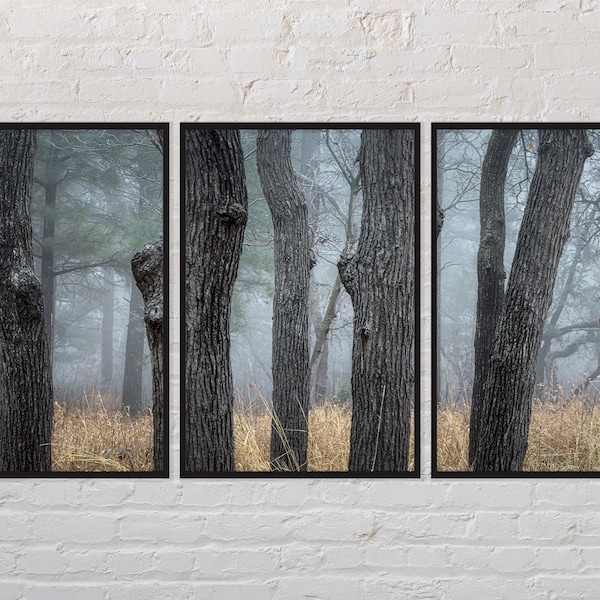 Art mural forêt brouillard, Utah, photo de paysage, tons froids, impression numérique, téléchargement numérique, triptyque, lot de 3, papier peint, cadre pour téléviseur