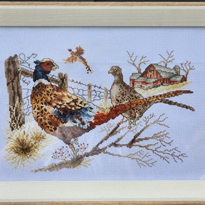 May include: Cross-stitch embroidery of a pheasant with a brown, white, and blue patterned body, perched on a branch with a red barn in the background.