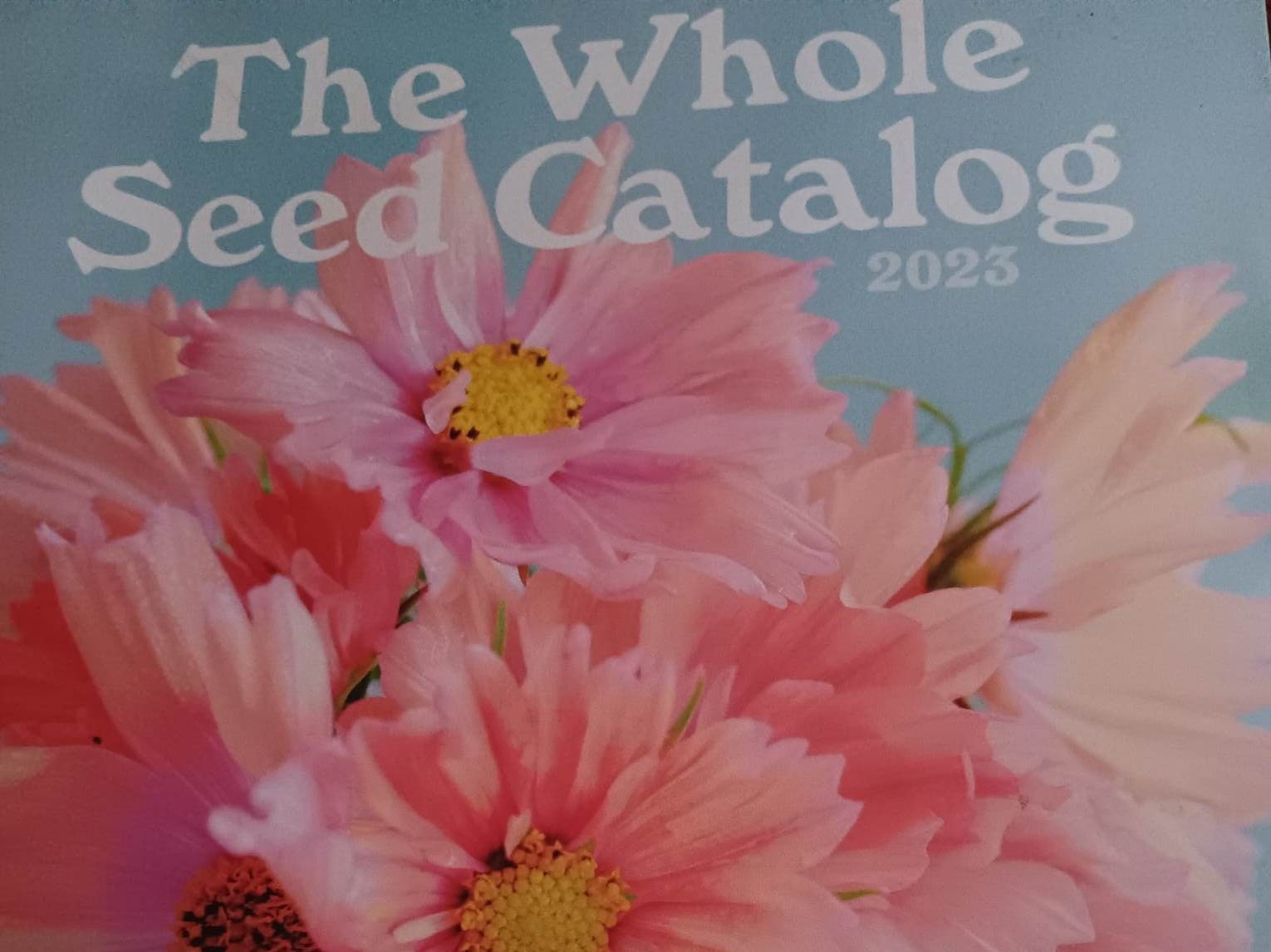 The Whole Seed Catalog 2023 Etsy