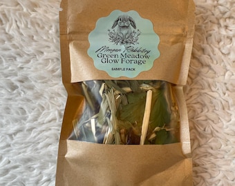 Green Meadow Rabbit Forage Sample: Organic Herbal Bunny Treat