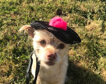 May include: A small, light-colored dog wearing a black and pink hat with a black leash. The dog is standing on green grass.