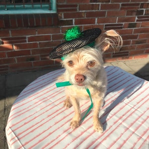 Beret hat for your pets!