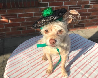 May include: A small, light brown dog wearing a black and green hat with a green pom-pom on top. The dog is sitting on a pink and white striped tablecloth.