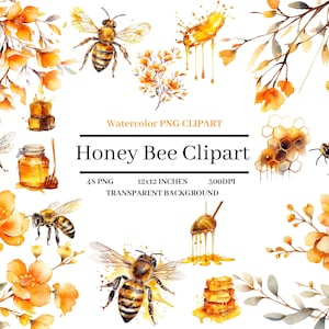 Watercolor Honey Bee Clipart Bundle,48 PNG images of floral spring garden and honey drips clip art Instant download for commercial use