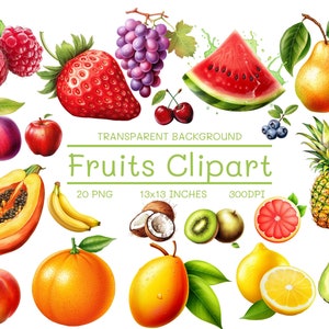 Realistic Fruits Clipart PNG Bundle Fruit Illustrations Strawberry Clipart - Digital Download