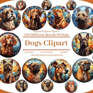 226 einzigartige Glasmalerei-Hundezucht-Porträts Clipart PNG-Bundle - hochauflösende Kunst für Hundeliebhaber