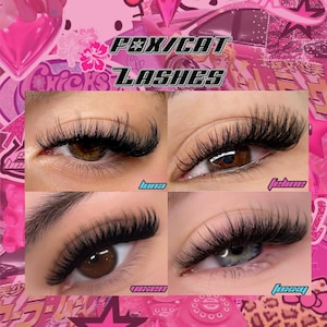 May include: Four close-up images of eyes with different styles of eyelash extensions. The styles are labeled "Luna", "Fehime", "Wixen", and "Flossy". The background is a collage of pink and white cartoon images.