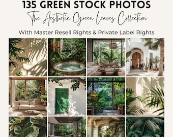 Green Leaves Stock Photo Bundle | Nature Images (MRR & PLR) (Digital Download)