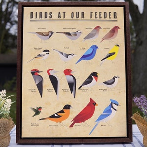 Backyard Bird Art / Bird Print / Birdwatching Wall Art / Nature Print / Bird Poster / Canvas Bird Art / Framed Bird Picture