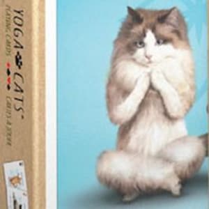 May include: A deck of playing cards featuring a white cat in a yoga pose. The box has a blue background with the text "Yoga Cats" and "Get in touch with your inner cat".