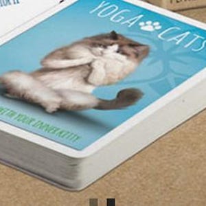 May include: A deck of playing cards with a white background and blue text. The text on the card reads "Yoga Cats". The image shows a cat in a yoga pose. The text on the card reads "Get in touch with your inner kitty!"