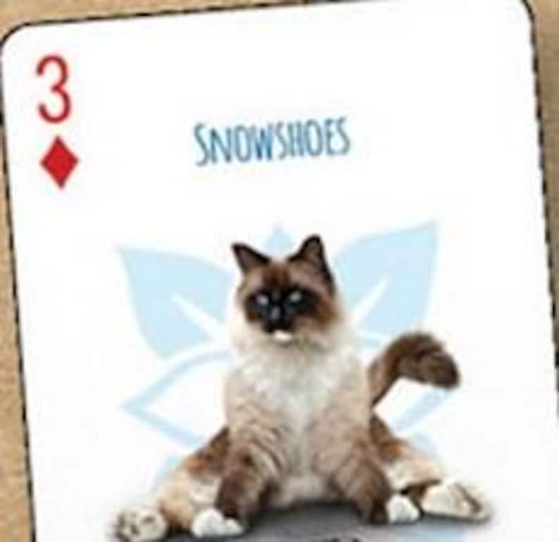 Yoga Cats Playing Cards – 54 Luxury Poker Deck, Collectible Card Game for Poker & Board Game Lovers