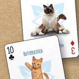 May include: Two playing cards with cat illustrations. The first card is a 3 of diamonds with a white cat with blue eyes in a yoga pose. The card reads "Snowshoes". The second card is a 10 of clubs with an orange cat in a yoga pose. The card reads "Butterscotch".