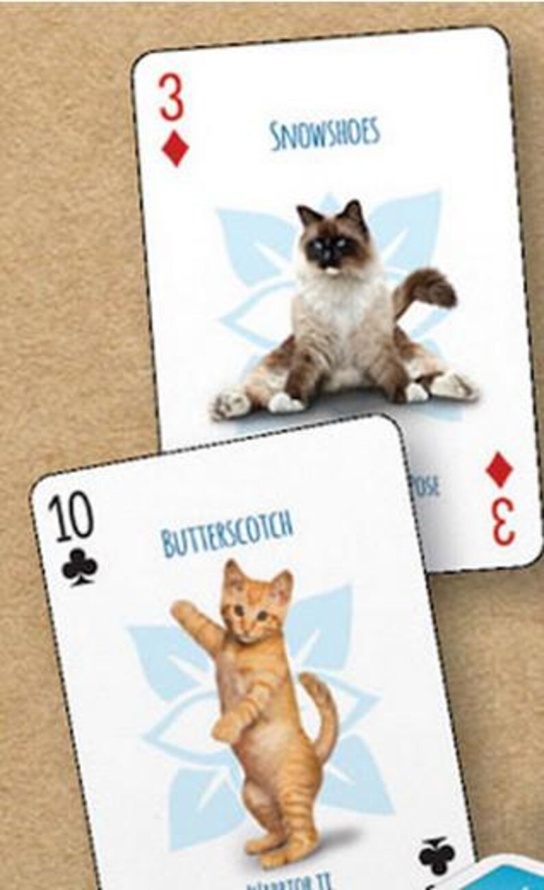 May include: Two playing cards with cat illustrations. The first card is a 3 of diamonds with a white cat with blue eyes in a yoga pose. The card reads "Snowshoes". The second card is a 10 of clubs with an orange cat in a yoga pose. The card reads "Butterscotch".