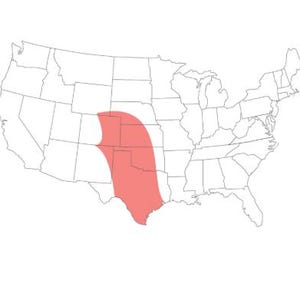 May include: A white map of the United States of America featuring thin black outlines for state borders. A solid, light coral-colored shape is overlaid across the central and southern regions, covering parts of several states in a vertical orientation.