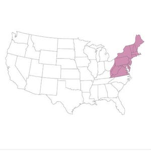 May include: A map of the United States of America with thin black outlines defining state borders. The Northeastern and Mid-Atlantic states are highlighted in a solid light mauve color, while the rest of the country remains white.