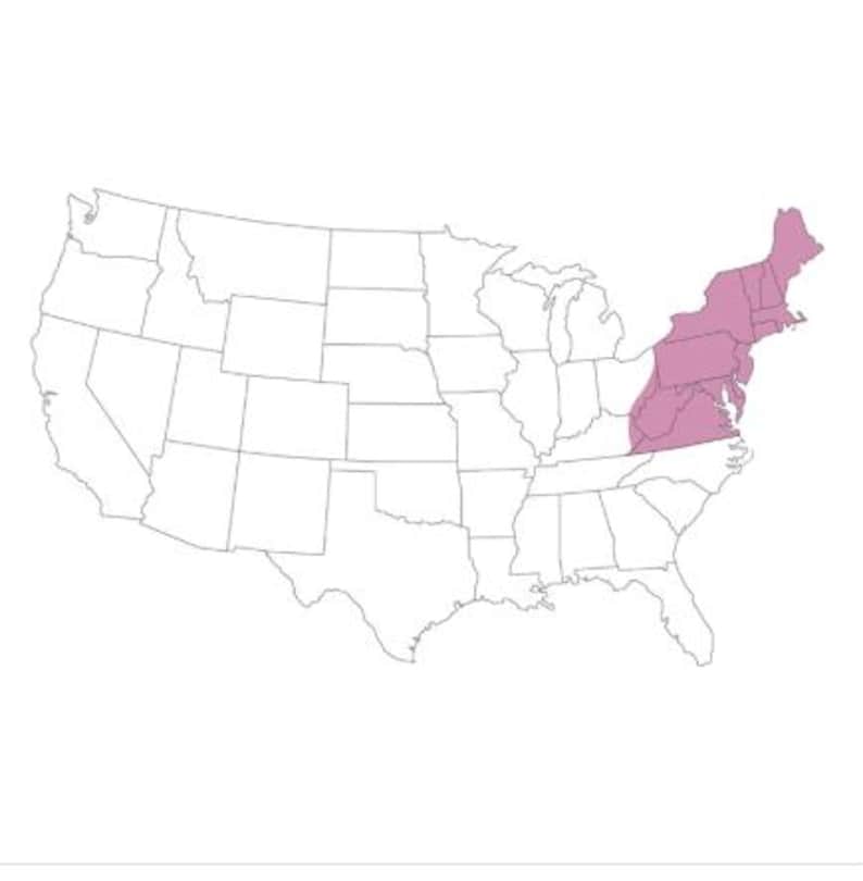 May include: A map of the United States of America with thin black outlines defining state borders. The Northeastern and Mid-Atlantic states are highlighted in a solid light mauve color, while the rest of the country remains white.