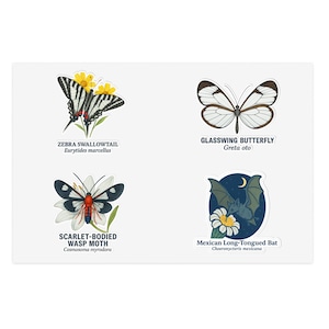 Unusual Pollinators Sticker Sheet: Vinyl Decals - Swallowtail, Glasswing, Moth, Bat