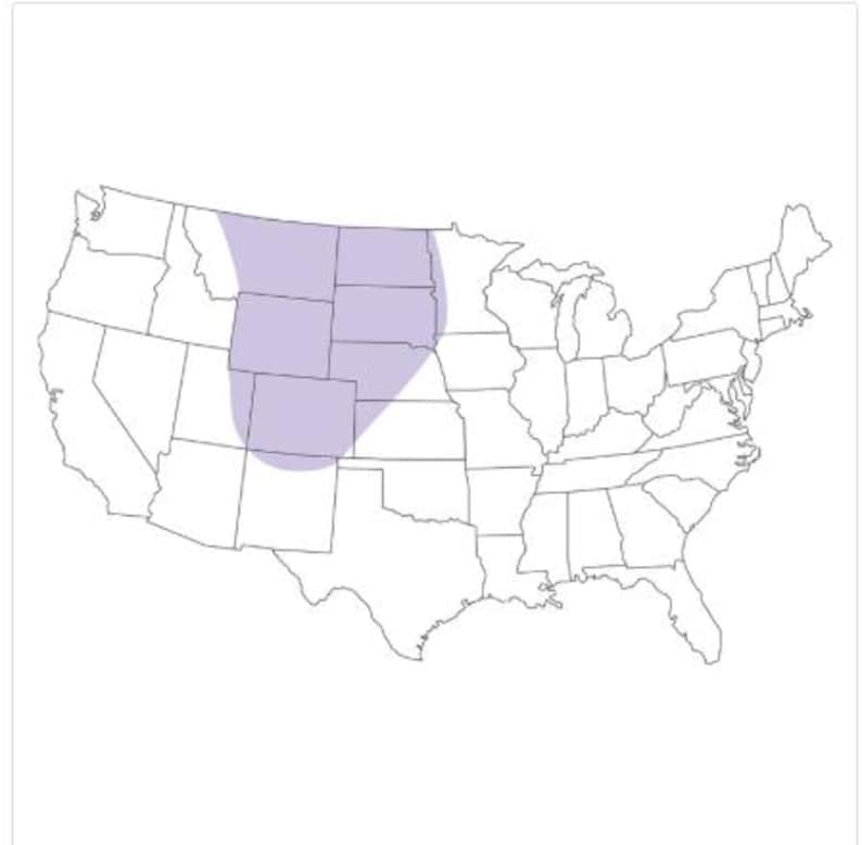 May include: A black and white outline map of the United States featuring a light purple shaded region covering parts of the Great Plains and Rocky Mountain states, specifically highlighting the area spanning Montana, Wyoming, Colorado, and the Dakotas.