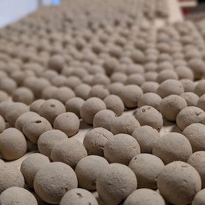 NATIVE Regional Wildflower Seed Bombs – Handmade for Pollinator Support, Eco Gardening Gift