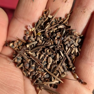 Blend of the Southeast seeds. includes Annual Baby's Breath, Annual Red Phlox, Black Eyed Susan, Clasping Coneflower, Corn Poppy, Gayfeather, Goldenwave Tickseed, Indian Blanket, Lance Leaved Coreopsis, Leavenworth's Tickseed, Lemon Mint, New England Aster, Plains Coreopsis, Purple Coneflower, Purple Moss Verbena, Scarlet Flax Sulphur, Scarlet Sage, Sweet William, and Tree Mallow.