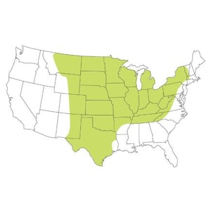 May include: A map of the United States of America featuring a light green shaded region that covers the central and eastern portions of the country, while the western and southeastern coastal areas remain unshaded and white in color.