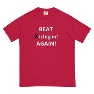Beat Xichigan Again Shirt