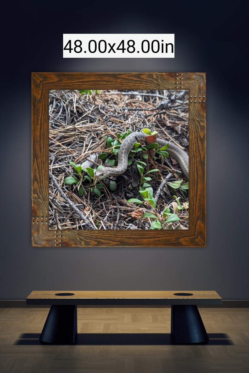 Garter Snake Photographed in Gunnison Colorado Etsy