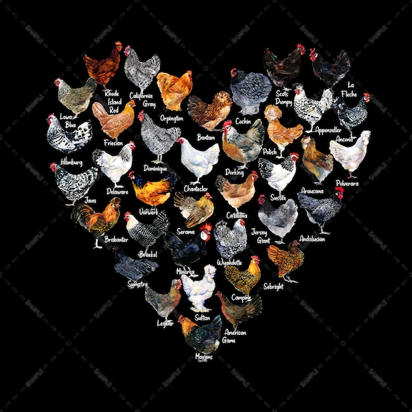 Chicken Heart Shape, Kinds Of Chicken, For Chicken Owners and Lovers, Chicken Breeds Rooster, Sublimation Designs, digital Download,PNG file