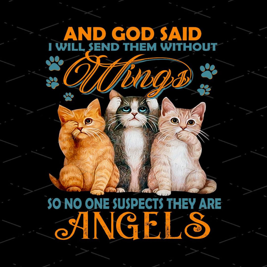 Cats Are Angels And God Said I Will Send Them Without Wings So No One cats-are-angels-and-god-said-i-will-send-them-without-wings-so-no-one