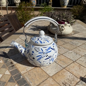 Bollitore H & H smaltato foglie blue litri 2. Fuori produzione.