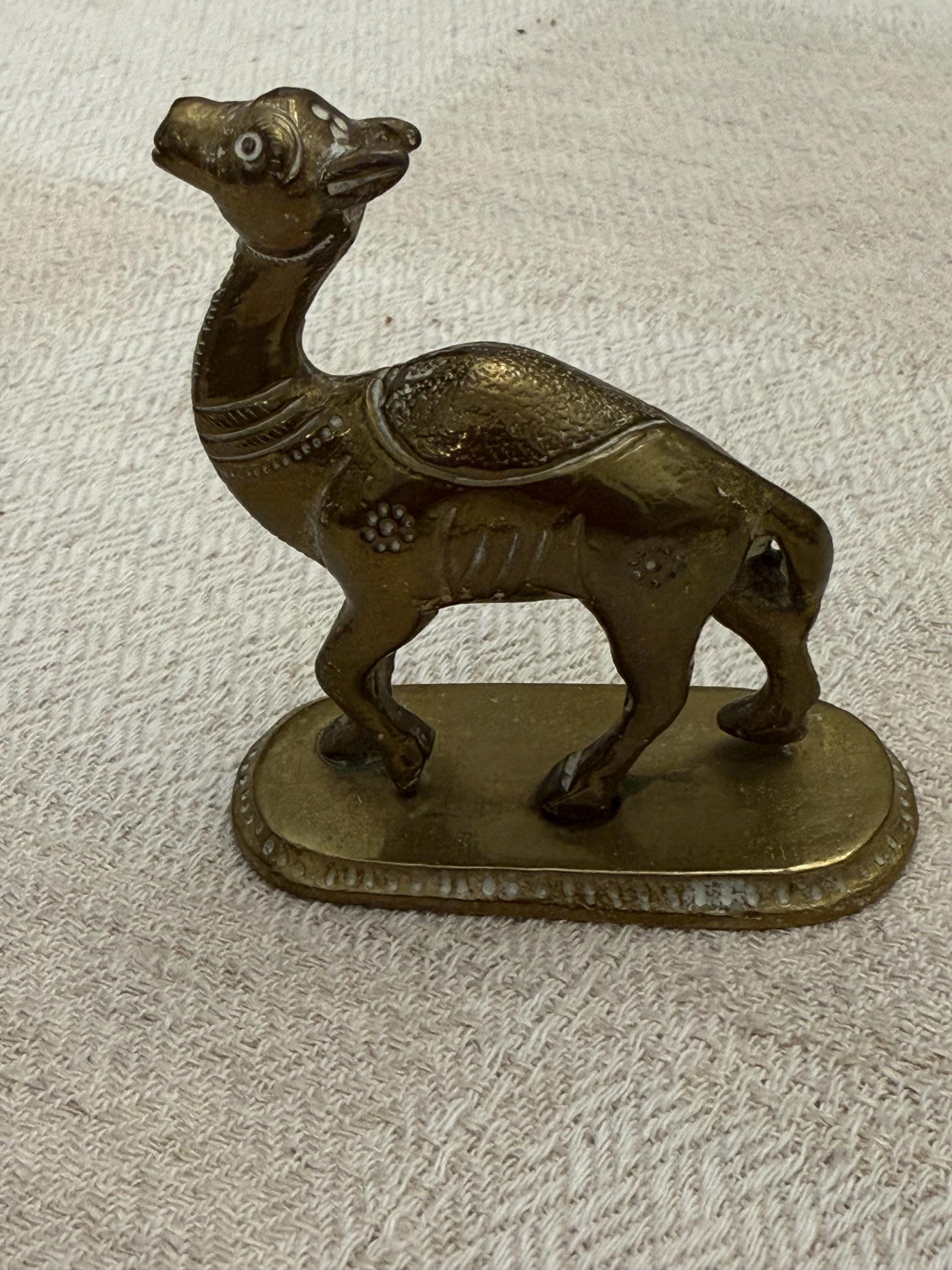 インドのオットーネ・ディ・ドロメダリオにあるヴィンテージのピッコラ