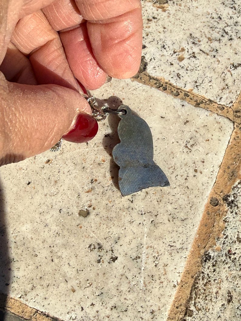 May include: A silver-toned pendant in the shape of a whale tail. The pendant has a blue and gray color scheme. The pendant is attached to a silver chain. The background is a light-colored, textured surface.