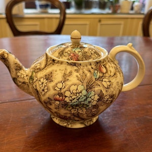 Può includere: Una teiera color crema con un motivo floreale in tonalità rosa, blu e verde. La teiera ha un coperchio con un pomo in cima e un beccuccio su un lato. La teiera è appoggiata su un tavolo di legno.
