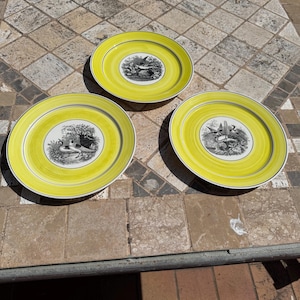 Op de afbeelding: Drie gele en zwarte keramische borden met een decoratief ontwerp van vogels en bladeren. De borden hebben een gele rand en een zwart midden met een wit ontwerp.