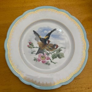 Antique beautiful Bavaria plate with birds and blue and gold border. Handpainted.