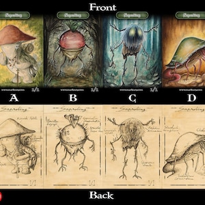 May include: A collection of four rectangular cards labeled Saproling, featuring colorful painted illustrations on the front and detailed sepia-toned ink sketches with handwritten Latin labels on the back, marked with A, B, C, and D.