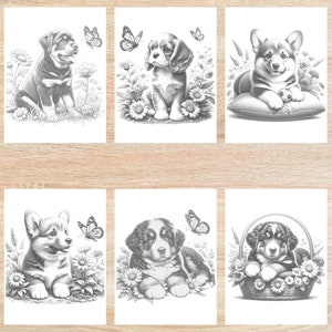 May include: Six black and white illustrations of puppies in various poses. Each puppy is surrounded by flowers and butterflies. The first puppy is a Rottweiler, the second is a Cavalier King Charles Spaniel, the third is a Corgi, the fourth is a Corgi, the fifth is a Bernese Mountain Dog, and the sixth is a Bernese Mountain Dog.