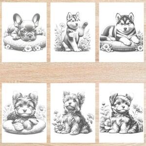 May include: A set of six black and white coloring pages featuring different dog breeds. The dogs are depicted in various poses, including sitting, lying down, and playing with a ball. The images are simple and easy to color, making them perfect for children or adults who enjoy coloring.