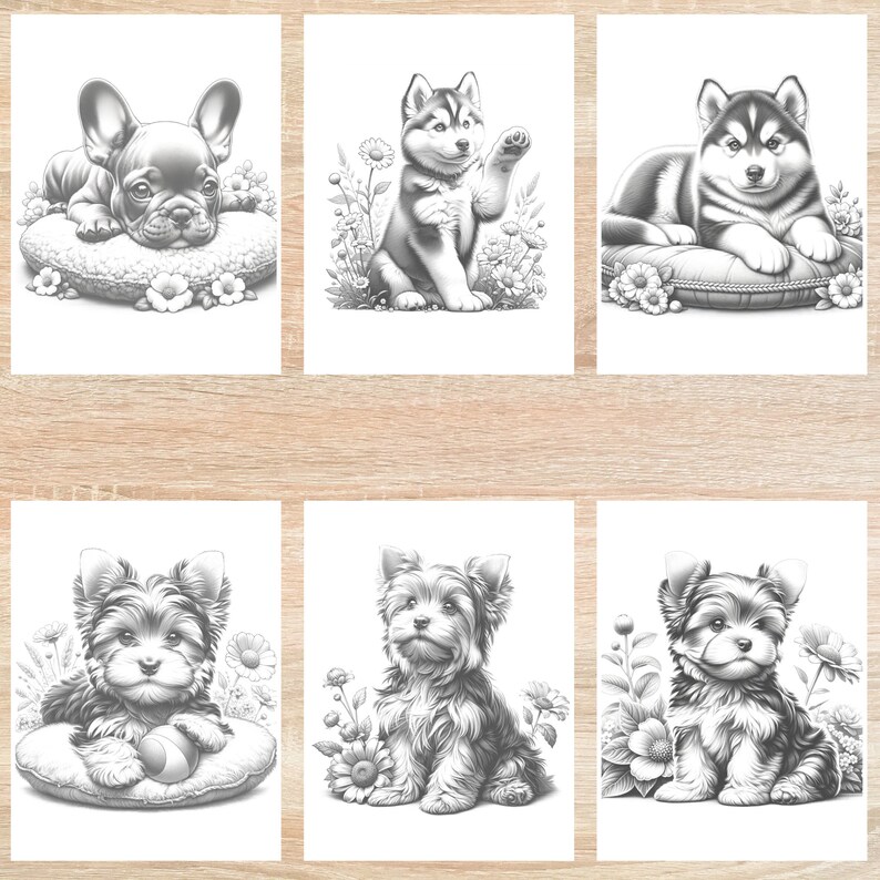 May include: A set of six black and white coloring pages featuring different dog breeds. The dogs are depicted in various poses, including sitting, lying down, and playing with a ball. The images are simple and easy to color, making them perfect for children or adults who enjoy coloring.