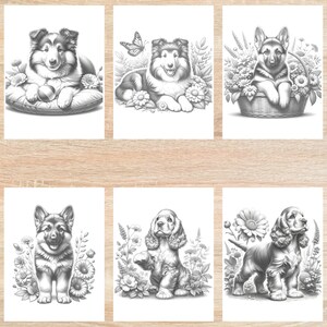 May include: Six black and white illustrations of dogs in various poses, surrounded by flowers. The dogs are a Collie, a German Shepherd, and a Cocker Spaniel.